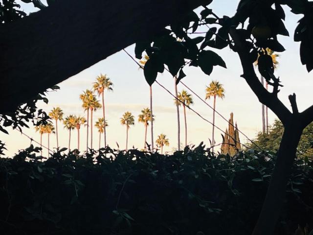 Costa Mesa Homestay - Private Rooms With 2 Shared Baths And Hosts Onsite Exterior photo